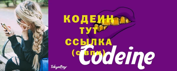 дурь Бородино