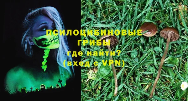 ALPHA PVP Богородск