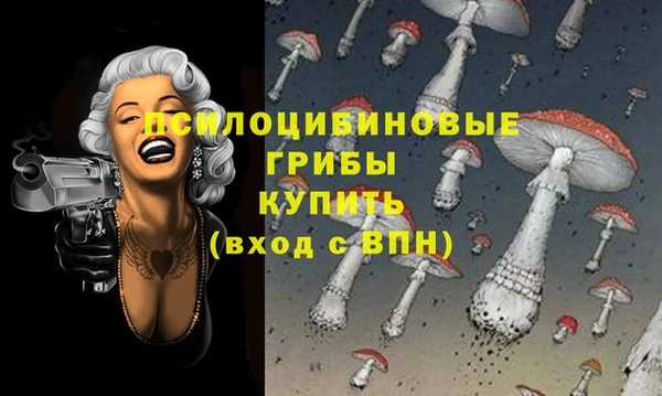 ALPHA PVP Богородск