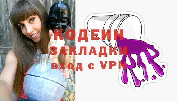 дурь Бородино