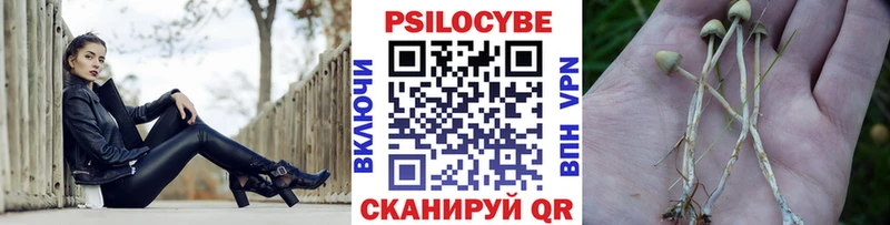 Псилоцибиновые грибы Cubensis  купить  цена  Кстово 