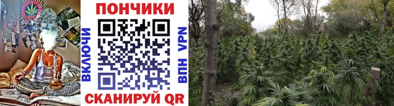 Бошки Шишки Ganja Кстово