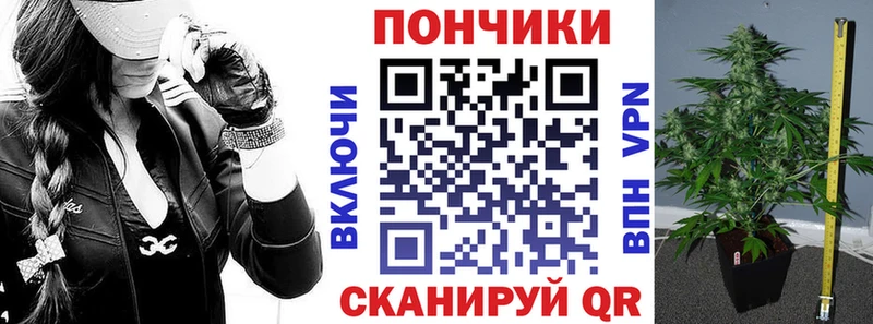 Марихуана ГИДРОПОН  darknet официальный сайт  Кстово 